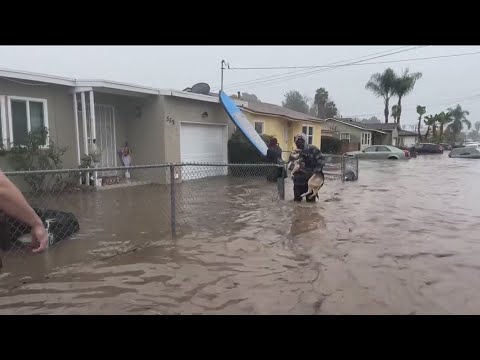 San Diego flood | Woman walks through flood waters to find car | One-News