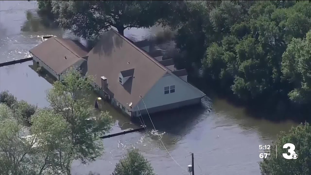 A closer look at That Said If Told To Evacuate
