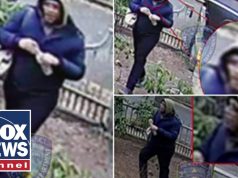 BREAKING: Police looking for second person in Brown shooting investigation