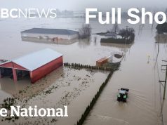 CBC News: The National | B.C.’s Fraser Valley braces for more rain