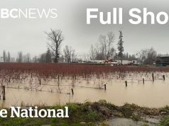 CBC News: The National | Torrential rains drench B.C.’s Fraser Valley