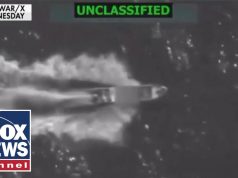 Drug smuggling by boat is a ‘symptom of success’ because borders are closed: GOP lawmaker