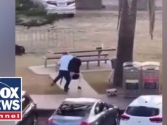 SEE IT: Bystander to Australian terror attack attempted to disarm mass shooter