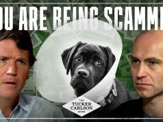 The Private Equity Veterinary Scam Making You Poorer and Killing Your Pets