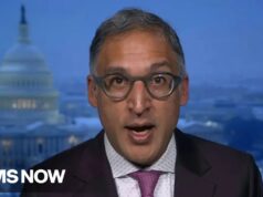 Neal Katyal on tariffs ruling: It gave us everything that we asked for