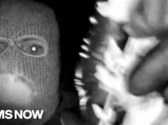 No DNA match from glove found near Nancy Guthrie’s home