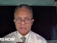 ‘We’ve got a lot of work to do’: Former Rep. Jesse Jackson Jr. remembers his father