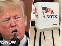 What is the SAVE Act? Trump threatens exec order on voter ID if bill fails in Senate