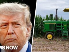 Farmer: Would rather have ‘better opportunity to market my product’ than government bailout