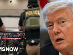 ‘He wants to terrorize our airports’: House Democrat on Trump deploying ICE to airports