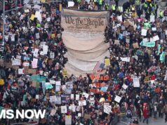 ’This is the beginning’: Organizers say over 8 MILLION people turned out for ‘No Kings’ protests