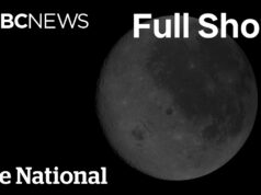 CBC News: The National | Artemis breaks records with lunar flyby