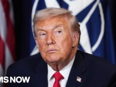 Fmr. U.S. Amb. to Russia: NATO allies appear ‘fed up’ and ‘exhausted’ with Trump