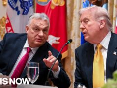 Viewing Hungary as ‘model’ for U.S.: What Vance’s visit with Vicktor Orban means for Trump’s America