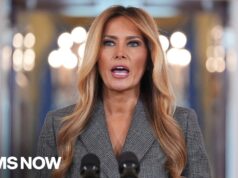 “You want to re-traumatize us?”: Epstein survivor responds to Melania Trump
