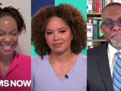 ‘All eyes ought to be on the South’: Imani Perry and Eddie Glaude on the GOP’s ‘white power grab’