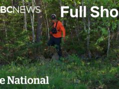 CBC News: The National | Newborn found dead in Halifax