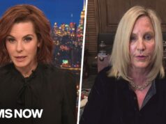 Erin Brockovich on AI data centers: ‘People aren’t being heard’