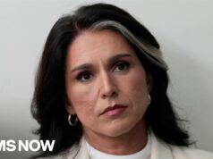 How Tulsi Gabbard Gave Up Everything and Got Nothing