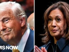 ‘INDEFENSIBLE’: Fmr. Harris-Walz campaign staffer BLASTS DNC’s 2024 autopsy report