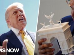 Trump plans to build 250-foot VANITY PROJECT arch WITHOUT congressional approval