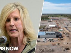 Erin Brockovich sounds the alarm on AI data centers expanding across America