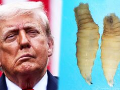 FLESH-EATING PARASITE found after Trump CUTS funding