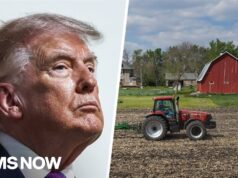 Trump suffers double digit loss in support from rural voters in latest poll