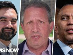 Voters ‘need to see’ changes on Gaza and corporate PACs: Brad Lander on how Dems can win House