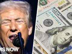 Antithesis of ‘draining the swamp’? ‘Most pro-grift President ever’: Ayman