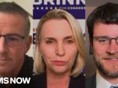 Back-to-back with three Democrats running to flip Michigan’s 17th congressional district blue