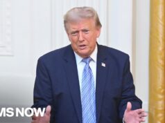 ‘He will not succeed’: Dems hold meeting to combat Trump’s potential midterm interference