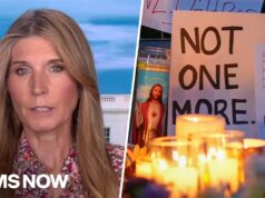 ‘Killed in OUR NAMES’: Nicolle on second shooting death in a week by Trump’s deportation force