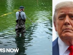Reflecting pool algae contractor now under scrutiny for another project