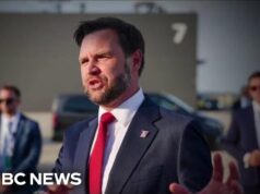 Secret Service agent from Vice President Vance detail removed