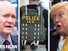 Sen. Coons DEMANDS ‘accountability’ over killings by Trump’s ICE