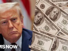 Top Oversight Dem ‘promises’ to investigate ‘Trump crime family’ if they retake the House