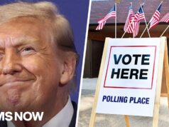Trump ‘laying the groundwork’ for more severe tactics to intimidate voters: Dem strategist