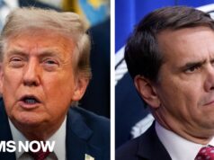 Trump may wait out GOP holdouts on Blanche nomination