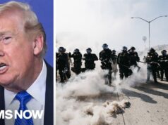 How Trump’s ICE raids sparked a small business CRISIS in LA