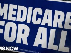 ‘Medicare for All’ being put to the test in Michigan Dem Senate primary