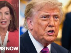 NY Gov. Hochul SLAMS Trump’s trade war with Canada: ‘It just has to stop’