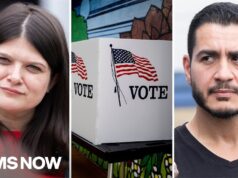 Rep. Summer Lee SLAMS GOP Attack Ads in MI primary as ‘Political Noise’