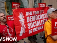‘Transition’ the anger Americans are feeling into ‘something real’: Highlights from DSA conference