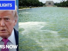 ‘Truly SHOCKING’ Watch MS NOW’s INSTANT REACTION to DOJ nixing Reflecting Pool case