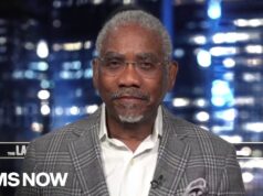 ‘Trump is afraid of the Black vote’: Rep. Meeks blasts Trump’s attacks on voting