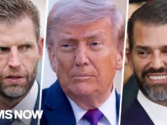‘World bribery financial’: Reaction to Trump family crypto venture getting bank status